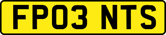 FP03NTS