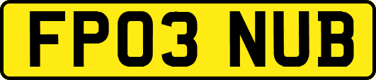 FP03NUB