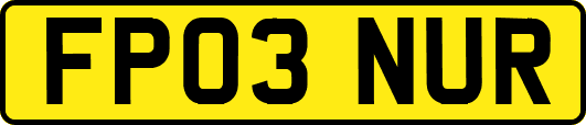 FP03NUR