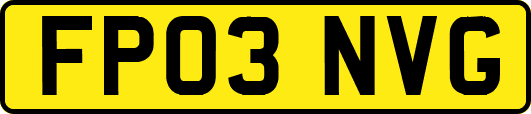 FP03NVG