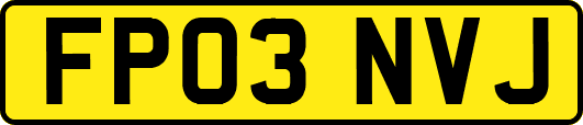 FP03NVJ