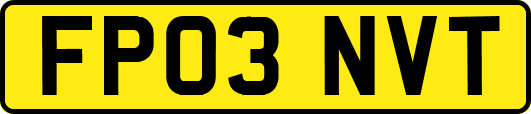 FP03NVT