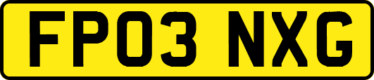 FP03NXG