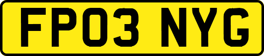 FP03NYG
