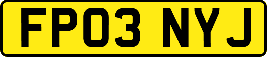 FP03NYJ