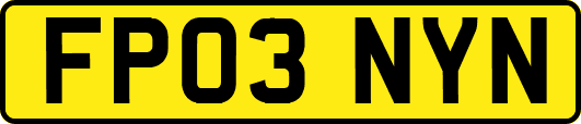 FP03NYN