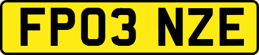 FP03NZE