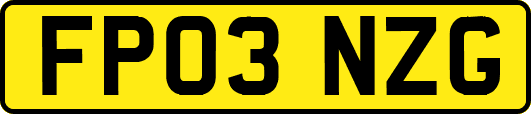 FP03NZG