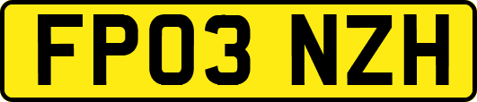 FP03NZH