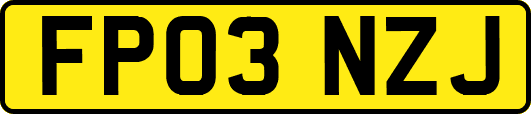 FP03NZJ
