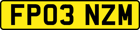 FP03NZM