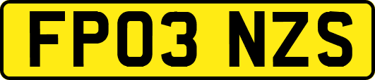 FP03NZS