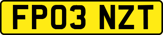 FP03NZT