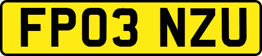 FP03NZU