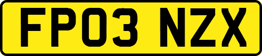 FP03NZX