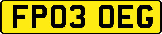FP03OEG