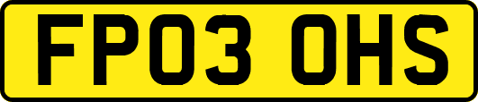 FP03OHS