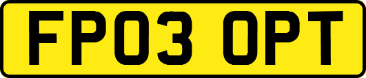 FP03OPT