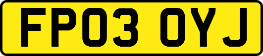 FP03OYJ
