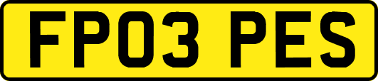 FP03PES