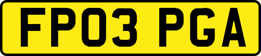 FP03PGA