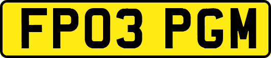 FP03PGM