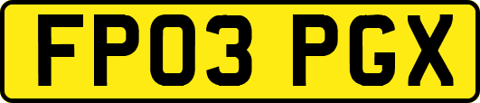 FP03PGX