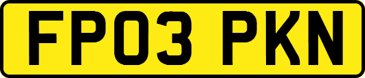 FP03PKN