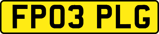 FP03PLG