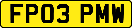 FP03PMW