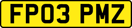 FP03PMZ