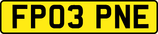 FP03PNE
