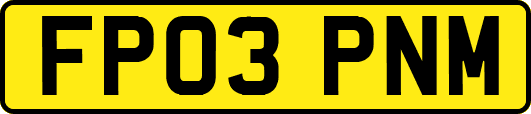 FP03PNM