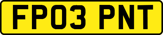 FP03PNT