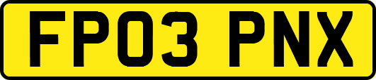 FP03PNX