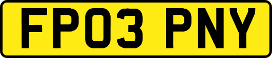 FP03PNY