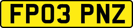 FP03PNZ