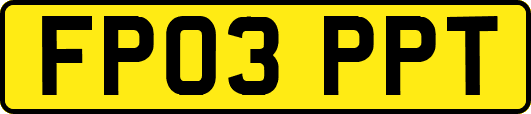FP03PPT