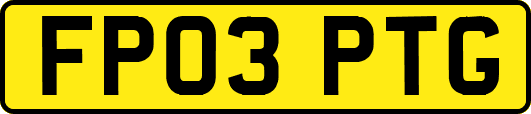 FP03PTG