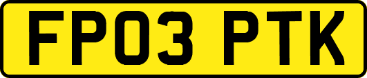 FP03PTK