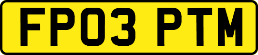 FP03PTM