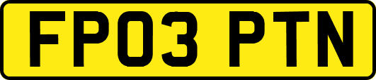FP03PTN