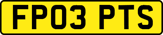 FP03PTS