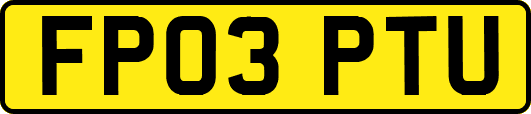 FP03PTU