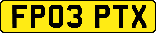FP03PTX