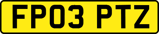 FP03PTZ