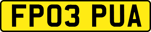 FP03PUA
