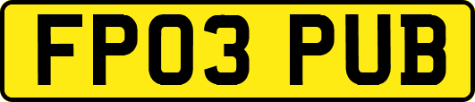 FP03PUB