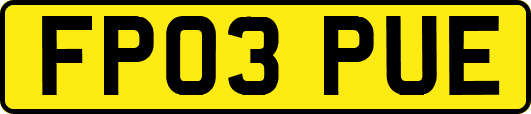 FP03PUE