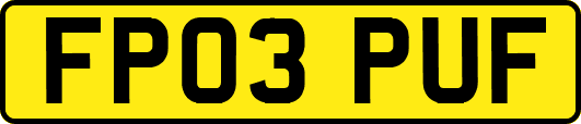 FP03PUF